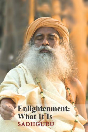 Enlightenment: What It Is (In The Presence of the Master Book 1) (English Edition)