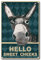 CREATCABIN Hola, Cartel de Mejillas Dulces, Cartel de Chapa de Metal Vintage para Baño, Cocina, Café, Decoración de Pared, 8 x 12 Pulgada