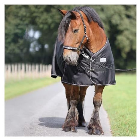 Kavalkade Outdoor-Decke für Pferde Draft Horse