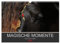 Magische Momente - Pferde Horses Caballos (Wandkalender 2025 DIN A3 quer), CALVENDO Monatskalender: Die Magie der Pferde. Fotografien vor schwarzem Hintergrund