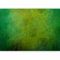 murando - Papier Peint Panoramique Intissé Nature 350x256 cm - Revêtement Mural pour Chambre Salon - Design Unique Moderne Décoration Murale - Vert - b-A-10297-a-a
