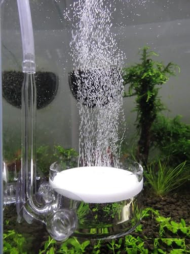 JARDLI Pollenglas CO2-Diffusor mit U-förmigem Verbindungsrohr für Aquarium, Pflanzentank, 5,1 cm für 1,5 - 2,5 l