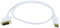 Monoprice 3ft 28AWG DisplayPort to DVI Cable - White