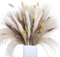 RAVEGO Pampasgras Getrocknet, 82 Stück Natürliche Trockenblumen, Braun/Weiß Pampasgras Flauschige Wedel, Lagurus und Schilfblume Trockenblumen Strauß, für Blumen Arrangements Heim Decor (Typ 1)