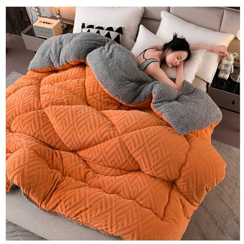SayfuR Steppdecke, Duvet Winter, Verdickte Super Weiche Winterdecke, Dicke Steppdecke Aus Lammwolle, Flauschige Kaschmir Steppdecken, Doppelseitige Bettdecke Aus Samt,C,150x200cm/3.5kg