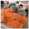 SayfuR Steppdecke, Duvet Winter, Verdickte Super Weiche Winterdecke, Dicke Steppdecke Aus Lammwolle, Flauschige Kaschmir Steppdecken, Doppelseitige Bettdecke Aus Samt,C,150x200cm/3.5kg