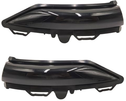 BAKUGO 2 Stück Rückspiegel Anzeige Lampe Seitenflügel Blinker Licht Für Ford ST-Linie MK8 2018 Fiesta MK8 2019 2020 Puma 2020
