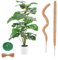 4-Stücke Moosstab Set, 2 X 60cm Biegsame Monstera Rankhilfe Hanfseil Und Zubehör Für Kletterpflanzen, Moosstab Für Monstera, Rankhilfe Monstera, Für Indoor-Klettern Von Pflanzen Pflanzenstab