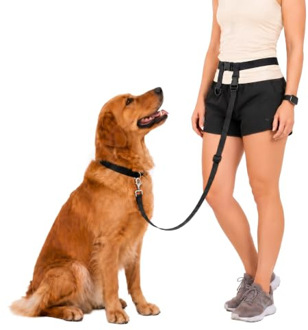 The Buddy System Made in USA Adjustable Hands Free Leash, Great for Running, Regular Dog System, Regular, Black by The Buddy System