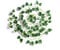 Best Artificial 200cm / 7ft Ivy Garland Hanging Vine String Plant (Variegated Grape - IL01)