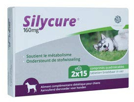 Fendigo Silycure 160 mg - 30 Tabletten