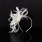 Fascinator Hüte Braut Schleier Kopfbedeckung Damen Mädchen Haar Clip Accessoire Cocktail Party Haarklammer Klassisch Elegant Kopfschmuck 20er Jahre Stirnband Feder Hochzeit Haarschmuck Kirche Tea