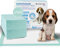Mobiclinic® Pets, Pack 100, Welpen unterlagen, XL, 56x56 cm, 6 Schichten, Ultraabsorbierend, Europäische Marke, Hygieneunterlage, , Inkontinenzunterlage einweg, Tiertraining, Katzen