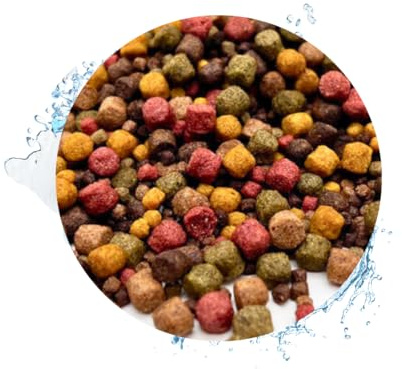 Warnick's Fischfutter Koifutter 10-Sorten-Mix 3-6 mm - 10 Liter | Fischfutter für Koi & Zierfische - Schwimmend & sinkend, gut verdaulich - Farbverstärkend mit Spirulina