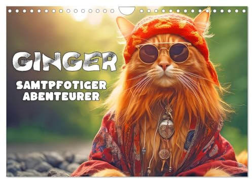 Ginger - Samtpfotiger Abenteurer (Wandkalender 2026 DIN A4 quer), CALVENDO Monatskalender: Humorvolle Katzenbilder (CALVENDO Spass)