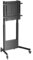 Ewent Supporto TV da Pavimento con Ruote per Schermi Plasma/LCD/LED 60-100,fino a 95kg, Regolazione Manuale in Altezza Senza Sforzo,con Gestione dei Cavi,VESA Max 800x600mm,Carrello TV mobile Nero