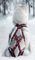Northern Howl X-Back Zuggeschirr Fuer Bike-, Skijoring, Dogscooting, Schlitten, Rote Pfoten (XL)