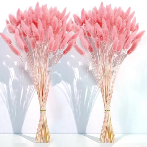 Barlone 120 Stück Pampasgras Klein, Hasenschwanzgras Getrocknet Pampasgras Deko, Pampas Gras Trockenblumen Rosa, Trockenblumen Klein Pampas Gras für Deko Wohnzimmer Hochzeit Tischdeko