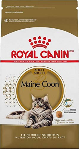 Royal Canin Maine Coon 31 Katzenfutter, 10 kg