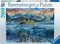 Ravensburger- Puzzle 2000 pièces-Sage baleine Balena Adulti, Colore Grigio, 16464
