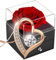 SWEETIME Rosa Real Preservada, Eterna Hecha a Mano Rosa, Regalos para Tu Novia Originales, Románticos Regalo para Mujer para Día de San Valentín Aniversario Día de la Madre Bodas Cumpleaños Navidad