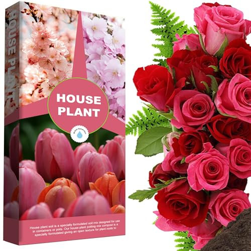 House Plant Compost Ideal For Indoor & Outdoor House Plants With Added Nutrients For Healthy Leaves & Plants (10 Litres)