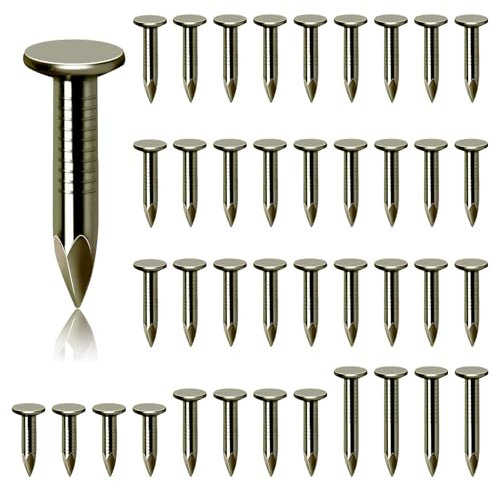 Glarks 300Pcs 1inch Stahl Dachfilz Nägel Dachfilz Pins Clout Nägel Countersunk Kopf Filz Nägel, zur Sicherung von Schuppen Dächer, Dachfilz Schiefer Bretter, Holz Schuppen Fliesen