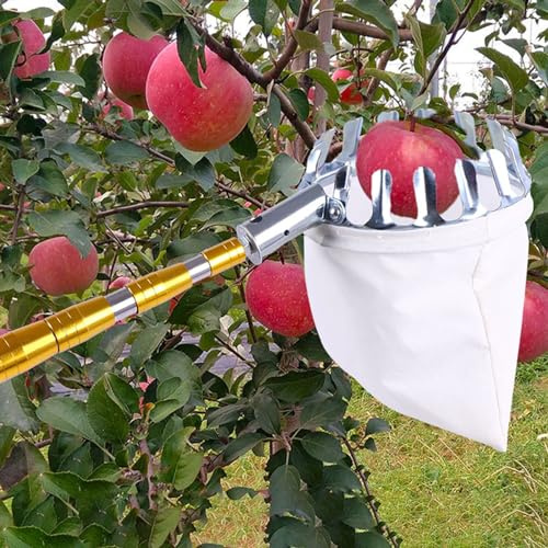 Fruit Picker Tool for Harvesting Lemons, Pears, Mangoes, Apples, Peaches from Tall Trees in Greenhouses and Orchards with Cloth Basket and Long Handle