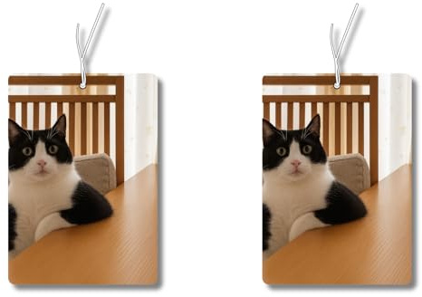 2x Shocked Cat Duftbaum Auto lustig, Autoduft,Lufterfrischer Duftspender, Wagen Tuning, TikTok MEME
