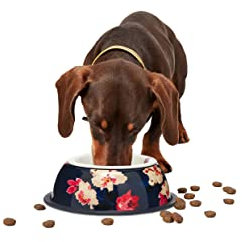 Rosewood Joules Bircham Bloom Dog Bowl