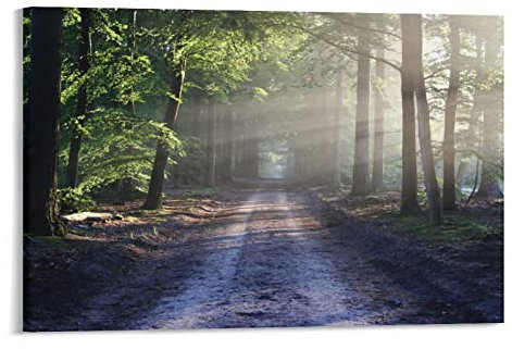 MITENG Poster mit natürlicher Landschaft von Waldweg am Morgen, Heimdekoration, Poster, Wandkunst, Hängebild, Druck, dekoratives Gemälde, 30 x 45 cm