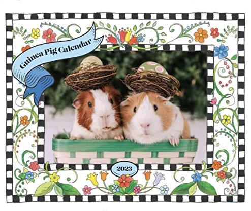 Kalender 2023 Meerschweinchen