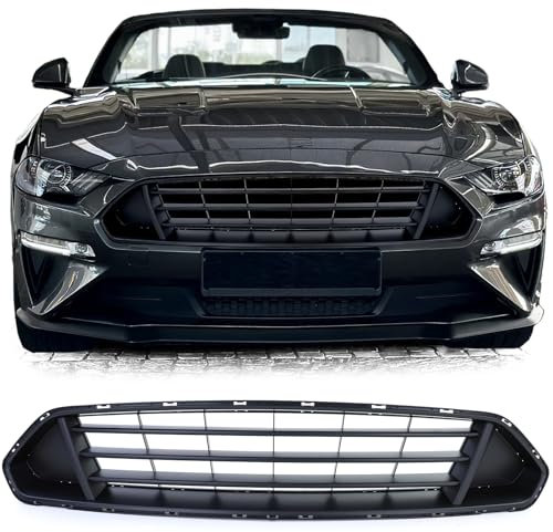 Sport Kühlergrill Clean für Ford Mustang Coupe Cabrio Facelift 17-22