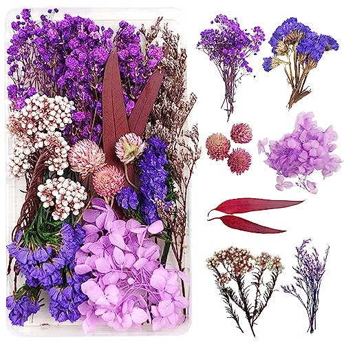 Trockenblumen zum Basteln Trockenblumen Deko Trockenblumen Klein Getrocknete Blumen Deko Trockenblumen Basteln Trockenblumen Set für DIY Basteln Epoxidharz Scrapbooking Dekoration(lila und rot)C-047H