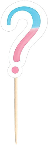 Amscan 400293-55 - The Big Gender Reveal Party Cupcake Toppers on Wooden Picks - 24 Pack