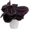 Calathea Surprise Star Zimmerpflanze fürs Zuhause oder das Büro (25-35 cm inkl. Topf)