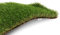 Exelgreen - Gazon synthétique - Natura 50mm - 1m x 5m