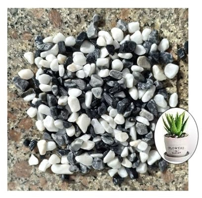 2LB Decorative Garden Pebbles, Black Grey and White Mixed, Natural Stone Rocks for Landscaping, Potted Plants, Vases, Aquariums, Terrarium and Outdoor Gardening