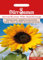 Dürr Samen 0628 Sonnenblume riesenblumig (Sonnenblumensamen)