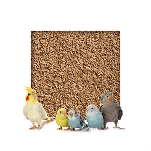 Kieskönig 20kg Buchenholzgranulat Vogelsand Bodengrund Terrariensand Einstreu Terrariumsand Tiereinstreu Körnung Fein 1,0-2,5 mm