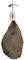 Guanciale g.g.A (I.G.P.) 1KG speck gourmet | ganzes Stück | Thermoisolierende Verpackung | Versand aus Italien | |Von Freiland-Schweinen getrocknet mit Pfeffer