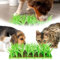 Tapis d'herbe en silicone pour chats, tapis d'herbe à chat d'intérieur en silicone, tapis d'herbe verte en silicone, tapis de nourriture pour chat, tapis à renifler pour chiens, facile à nettoyer (1