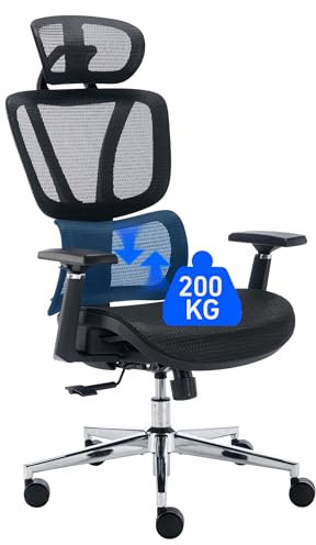 BRTHORY Ergonomic Office Chair with Adjustable Lumbar Support, High Back office chair with Adjustable Headrest, Tilt Function Swivel Computer Task Chair, Heavy Duty Office Chairs for home 200KG, black