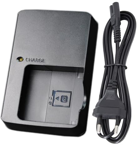 BC-CSGB NP-BG1 NP-FG1 Chargeur de Batterie Compatible avec Sony Cybershot DSC-HX5V,DSC-HX9V,DSC-W30,DSC-W35,DSC-W50,DSC-W55,DSC-W70,DSC-W80,DSC-H10,H20,H50,H55 Appareil Photo & 120cm AC Power Cord