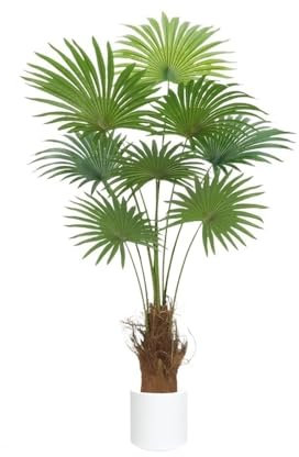 CYairong-22 Topfpflanzen 160 cm künstliche Grünpflanzen, Palmen-Topfpflanzen, künstliche Bäume, Fensterdekorationen und Ornamente for den Innenbereich, Wohnzimmer Bonsai