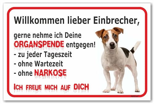 AdriLeo Schild - Vorsicht Jack Russell Terrier - Willkommen lieber Einbrecher - (20x30cm) / Achtung Hund Wachhund robust langlebig UV-beständig wetterfestes Warnschild