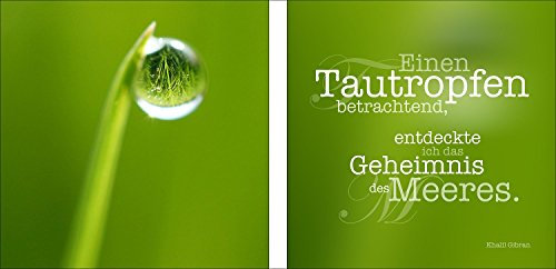 Pro-Art glaset2d115847 Wandbild Glas-Art Mix und Match Duo Tautropfen, 2x 20 x 20 cm