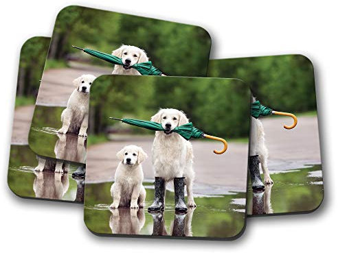 Lot de 4 Sous Verre, Dessous-de-verre Humoristique Sous-verre Golden Retriever – Chiot Adorable Blague Animaux Cadeau #15644