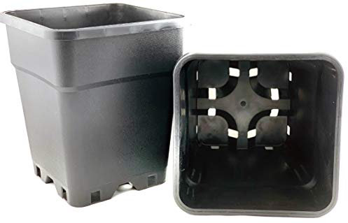 Bato 5-STK 25-L Profi Pflanztopf viereckig 33x33x33,5-cm PP Kunststoff Perfekt für Indoor & Outdoor Blumen-Topf Kübel Kasten Pflanz Vier-Kant für kleine Mittel & Große Pflanzen Gefäß 4-Kant