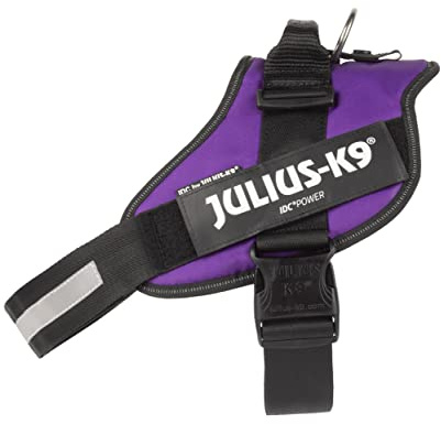 JULIUS-K9 IDC Powerharness, 2XL, no pull dog harness, Dark Purple